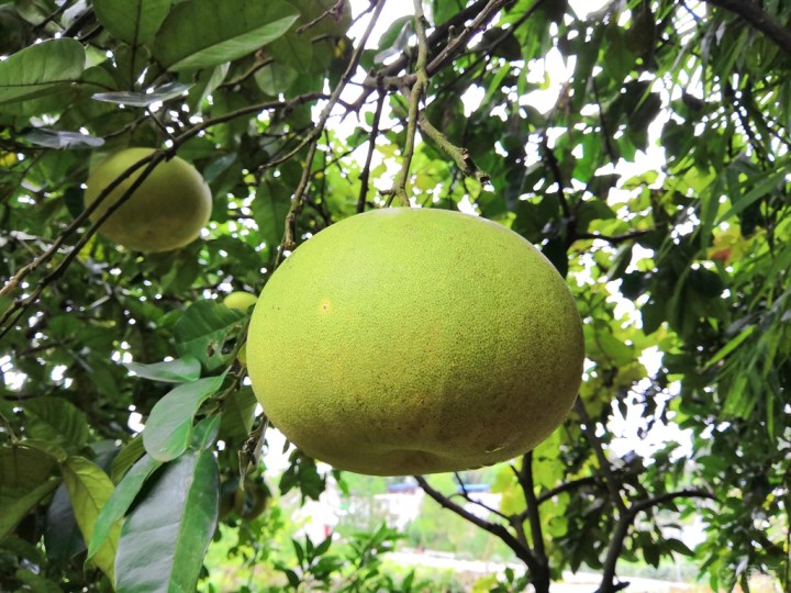 【深圳长安车友会】413愢迁之长途奔波过中秋