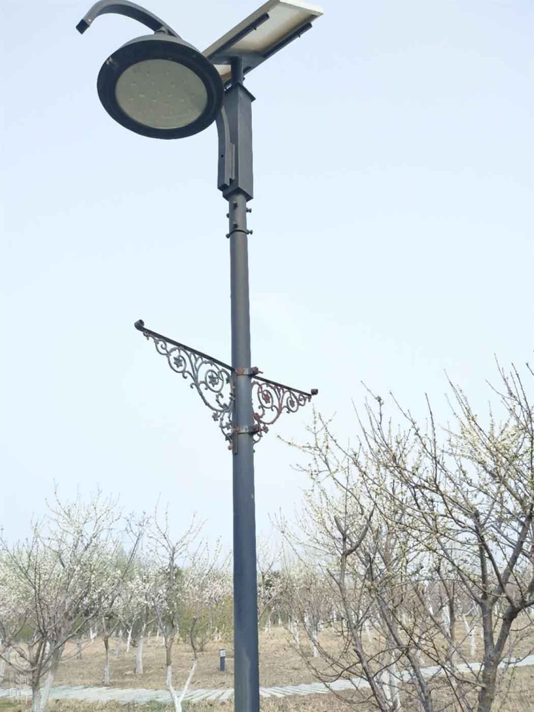 买朗行我不后悔