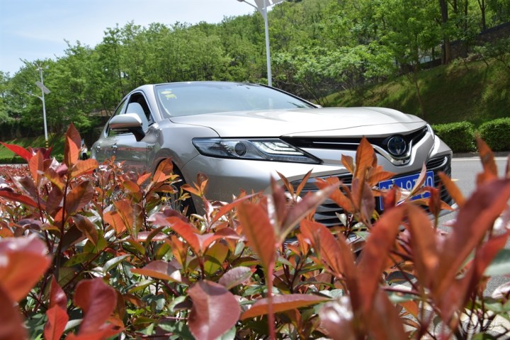 被刷爆抖音的美丽大青岛自驾一日游