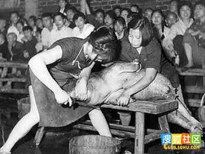 【看40年前<em>女人</em>如何<em>杀猪</em>】_标致307论坛_汽车