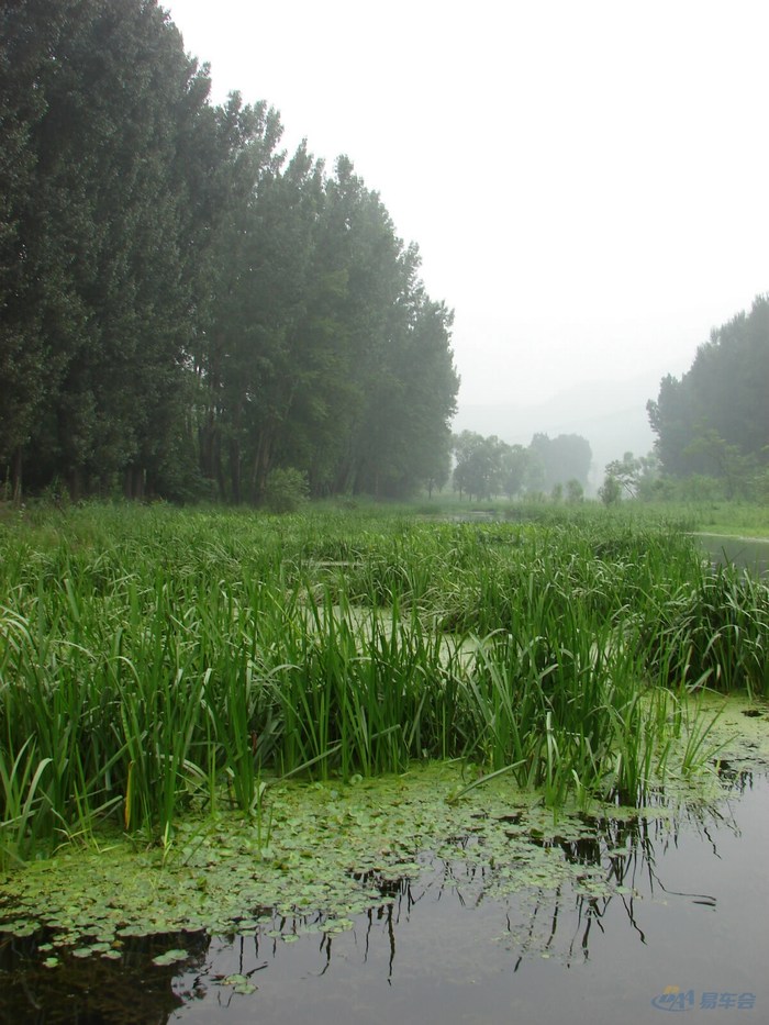 8月1日奔奔窝三亩园活动作业!狗仔队大片!