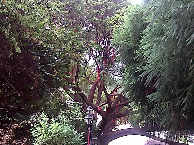 【自驾游<em>到</em>福建<em>泉州马甲</em>仙公山。拜佛。】_悦