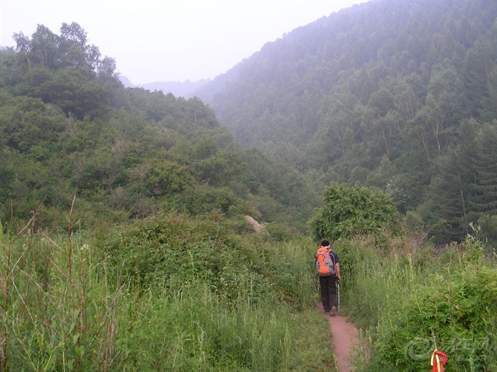 【7月20号3加1重上海坨扎营。】_冲浪手户外