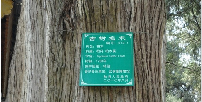 坟墓猜一成语_一图一成语猜答案大全(2)