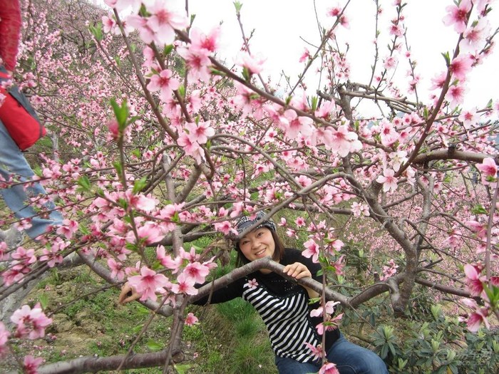 【小五载着娘子军,向着<em>桃花村</em>出发~求精~~】_