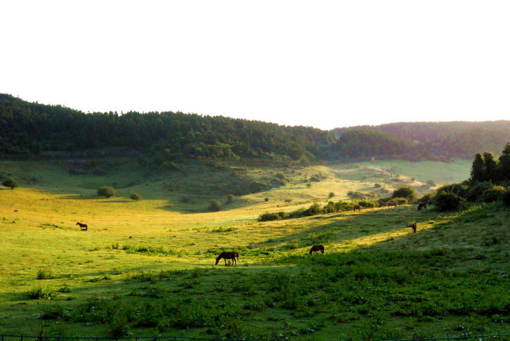 【武隆周边自驾游_武隆自驾游路线攻略_武隆