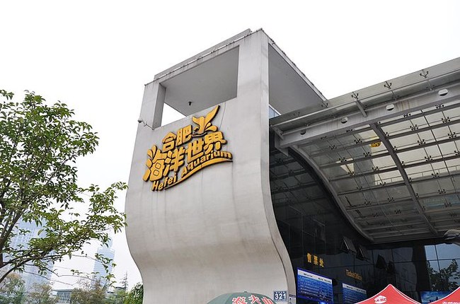 合肥 徽园 海洋馆一日游