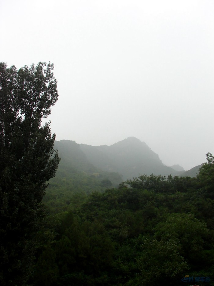 8月1日奔奔窝三亩园活动作业!狗仔队大片!