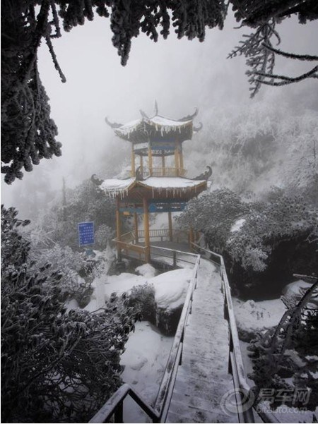 【明知山有虎偏向虎山行】_s-max