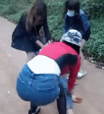 壁纸 动物 狗 狗狗 204_222 gif 动态图 动图