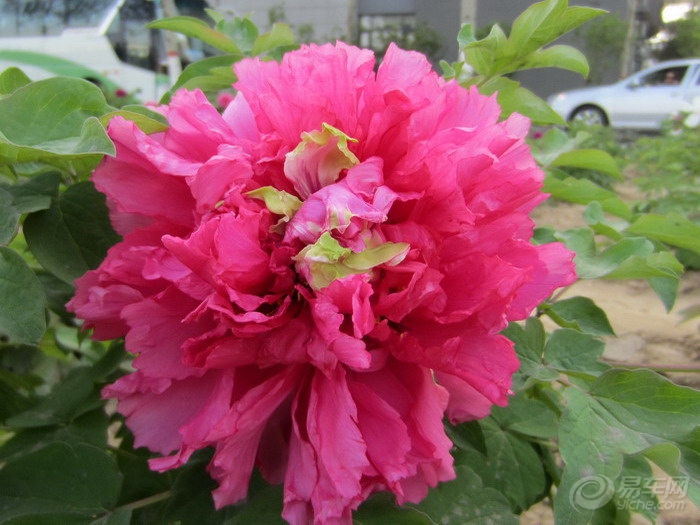 e5940f1cdb8f4d2bacdb337cf2892777.jpg