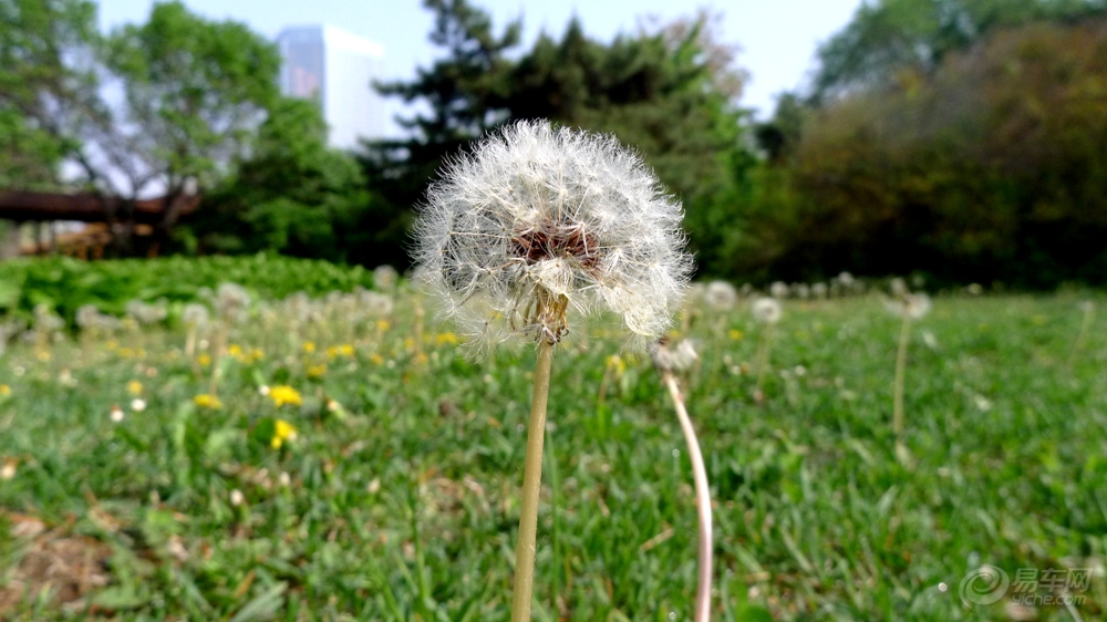 1cf35b98173c4972bdf764a81c9bf17e.JPG