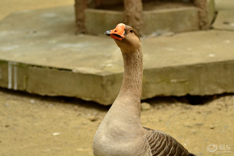 613c9a792253428cb2b0db1f16b9b7ed.jpg