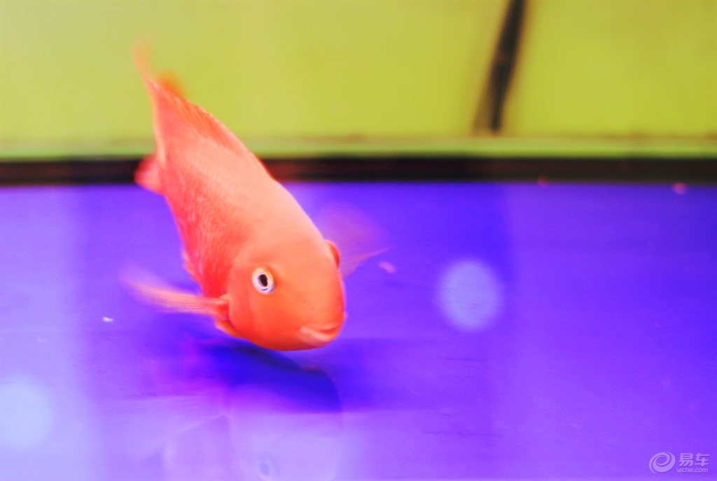 680ae956c64f4a84b203cabdfc5145c2.JPG