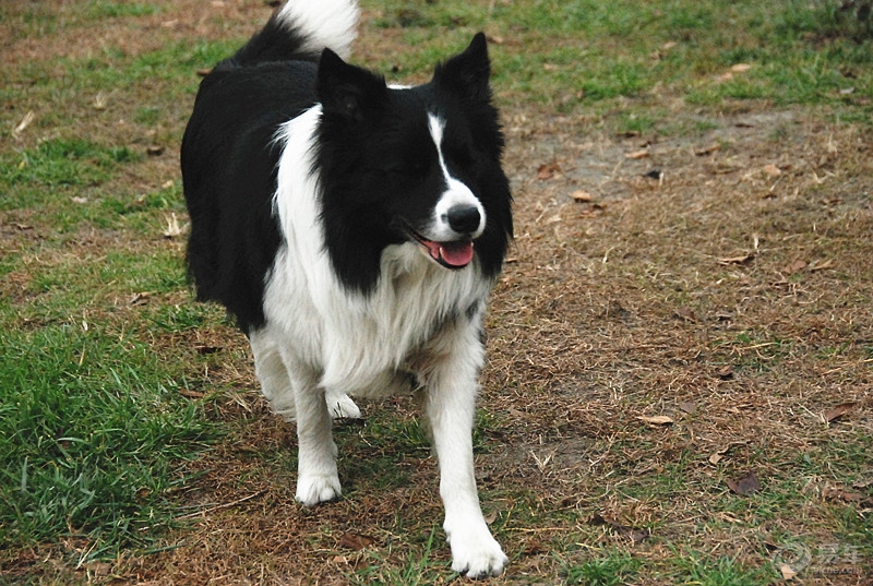 a0e0f9caf837435680c68ad03ad300f2.jpg