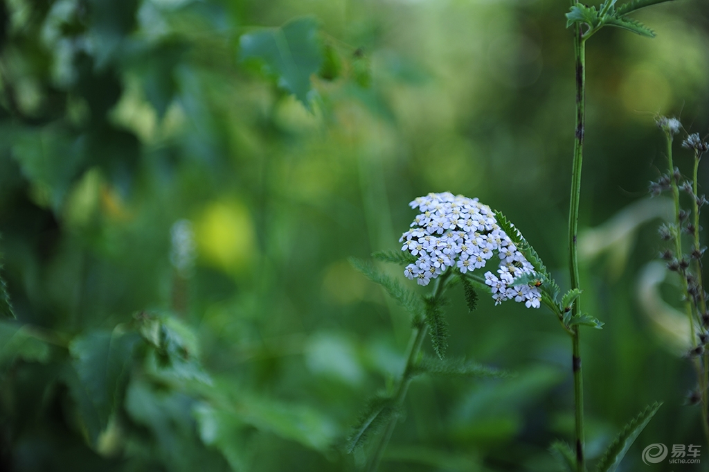 6b55dfe3a73e46a0a02497d8dc7abd02.jpg
