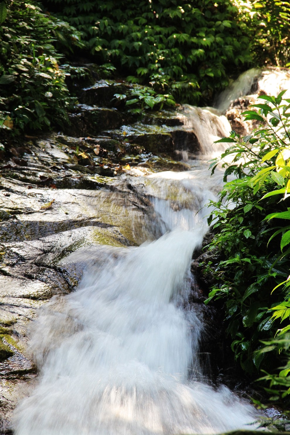5】六一带儿子山溪避暑