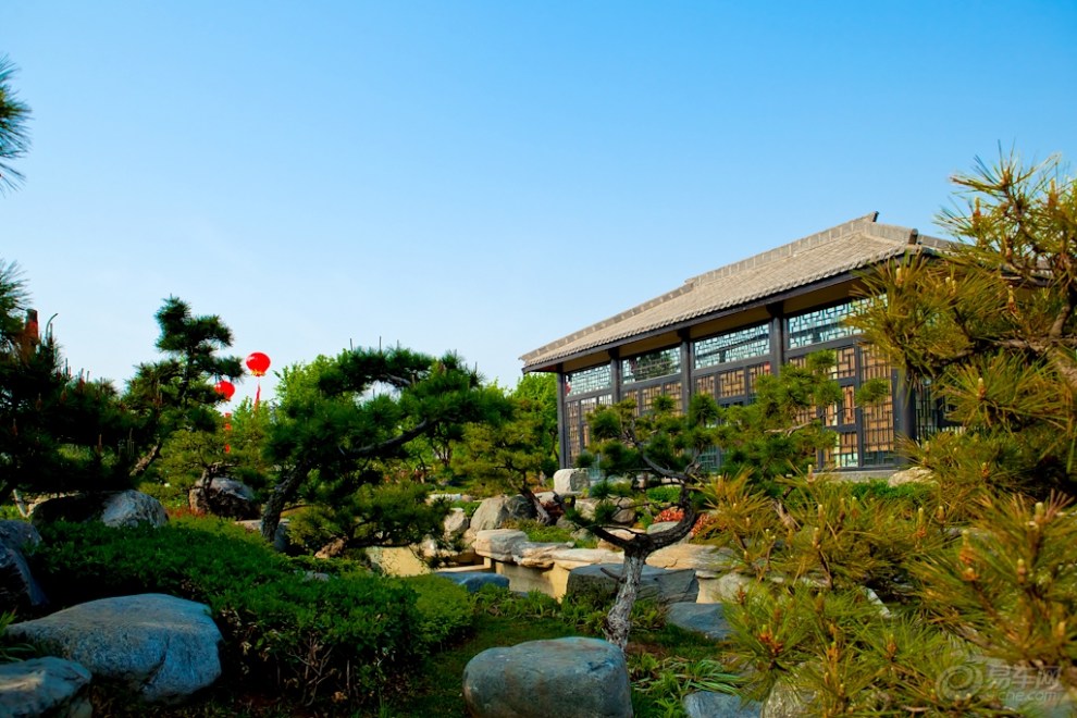 【首发】唐苑(一)