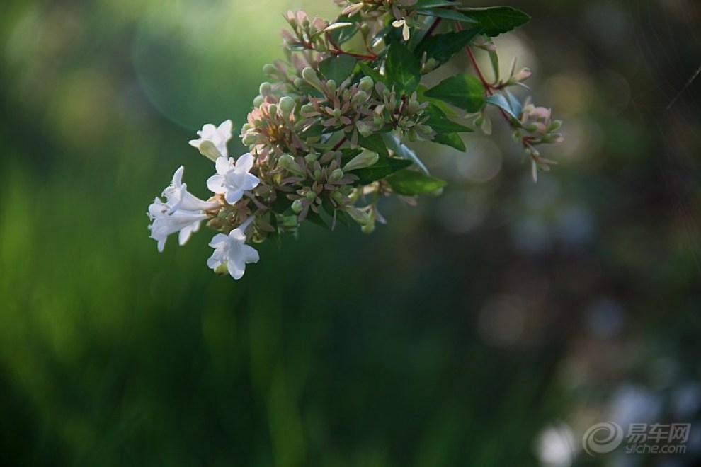 bc2aa39d619c4739873ca5126b7bb1e2_990_0_max_JPG.jpg