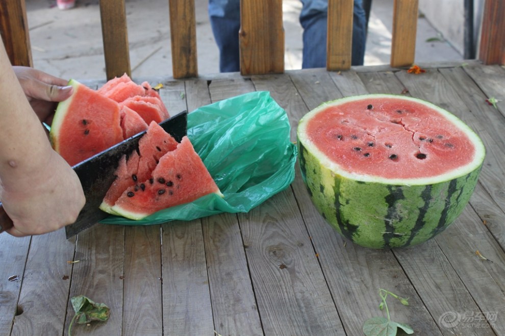 8】邱庄水库烧烤,钓鱼,采摘一日游