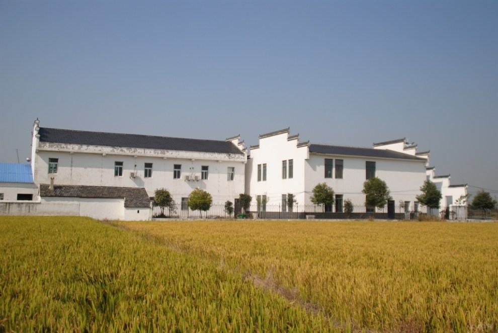 乡镇采风秀美肥东包公镇张集乡民生工程