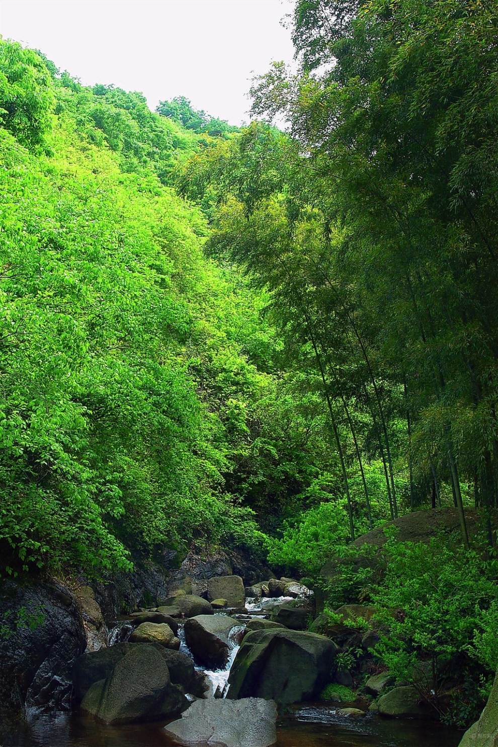 【行摄在秋天】龙井沟印象
