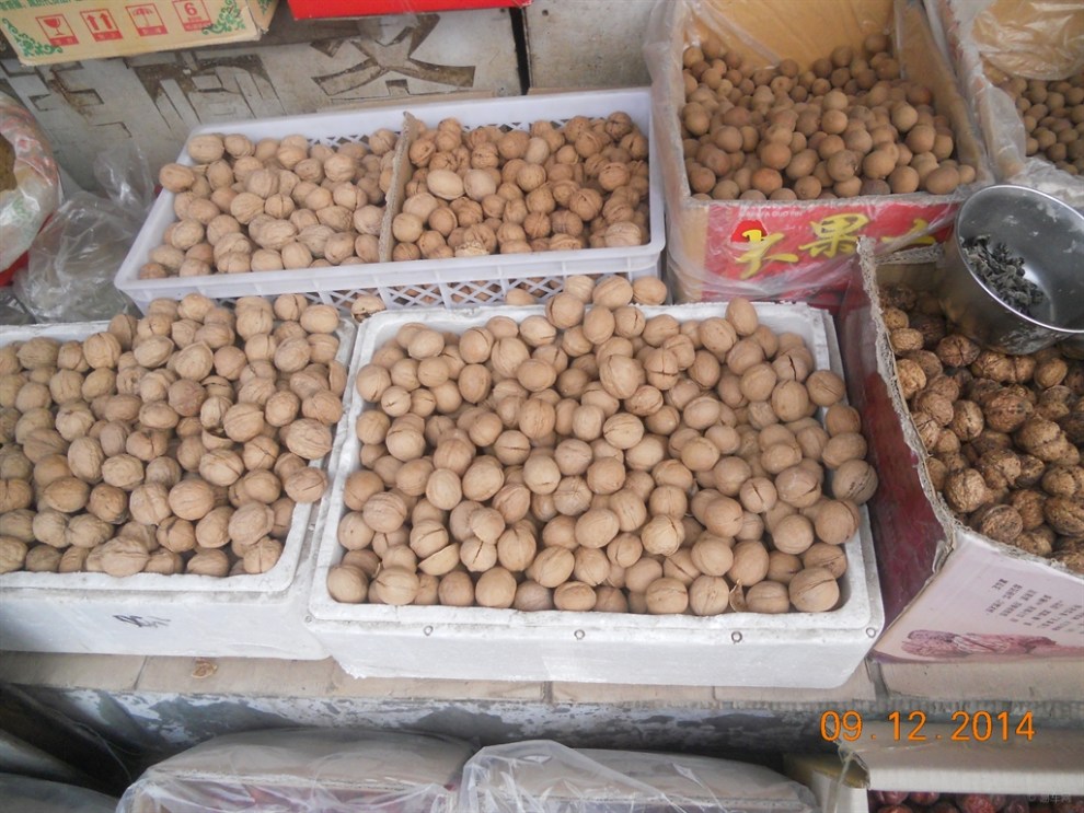 【每日图说】壳桃