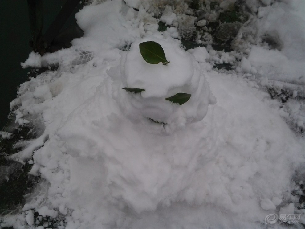 【馬到成功】樂在雪中