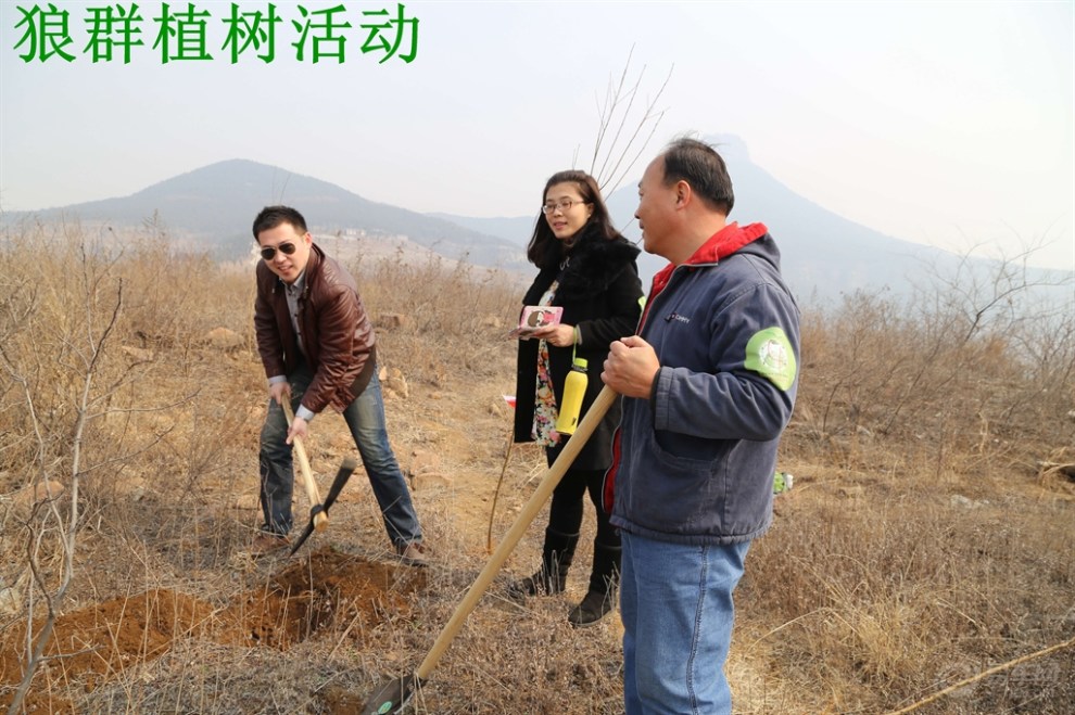 狼群公益 精彩有你—抱犊崮森林公园植树活动