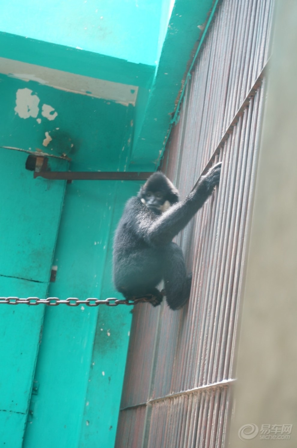 【宝贝快乐秀】140428jay宝儿大兴野生动物园一(摄像)