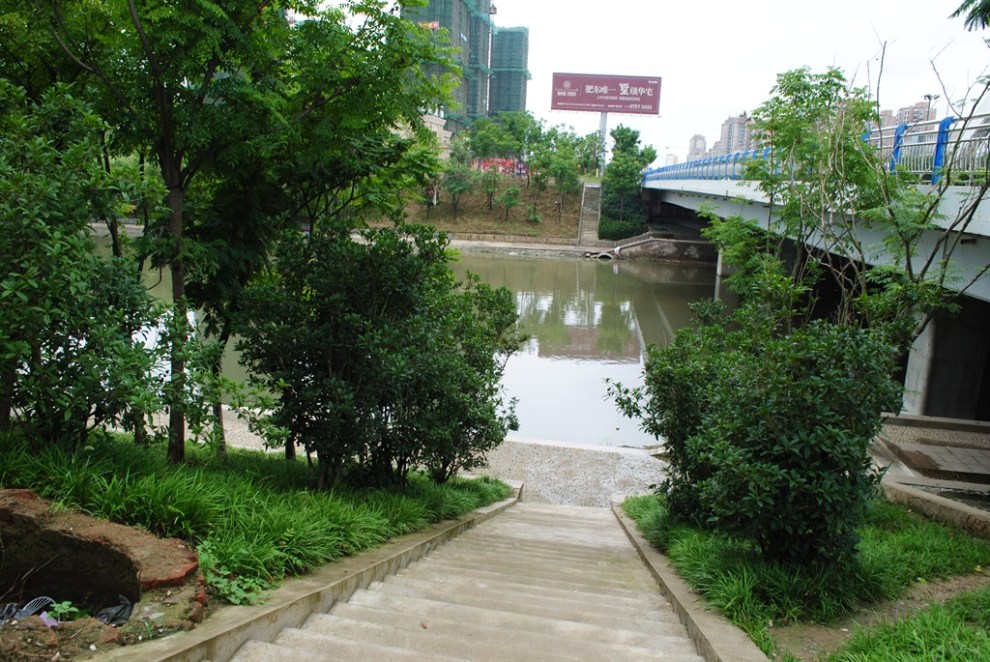 午后走两步池塘边道路侧河畔沿随行就摄