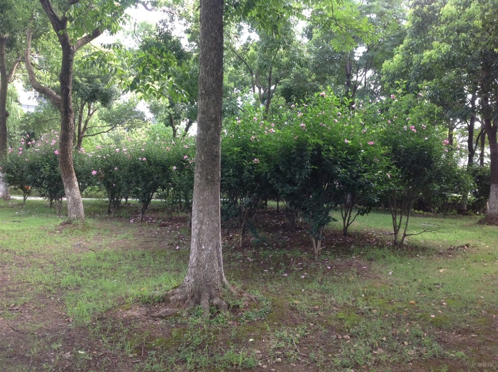 自駕遊之寧波福民公園