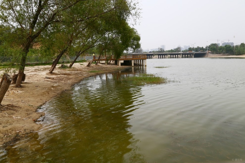 西流湖公園的美與惡