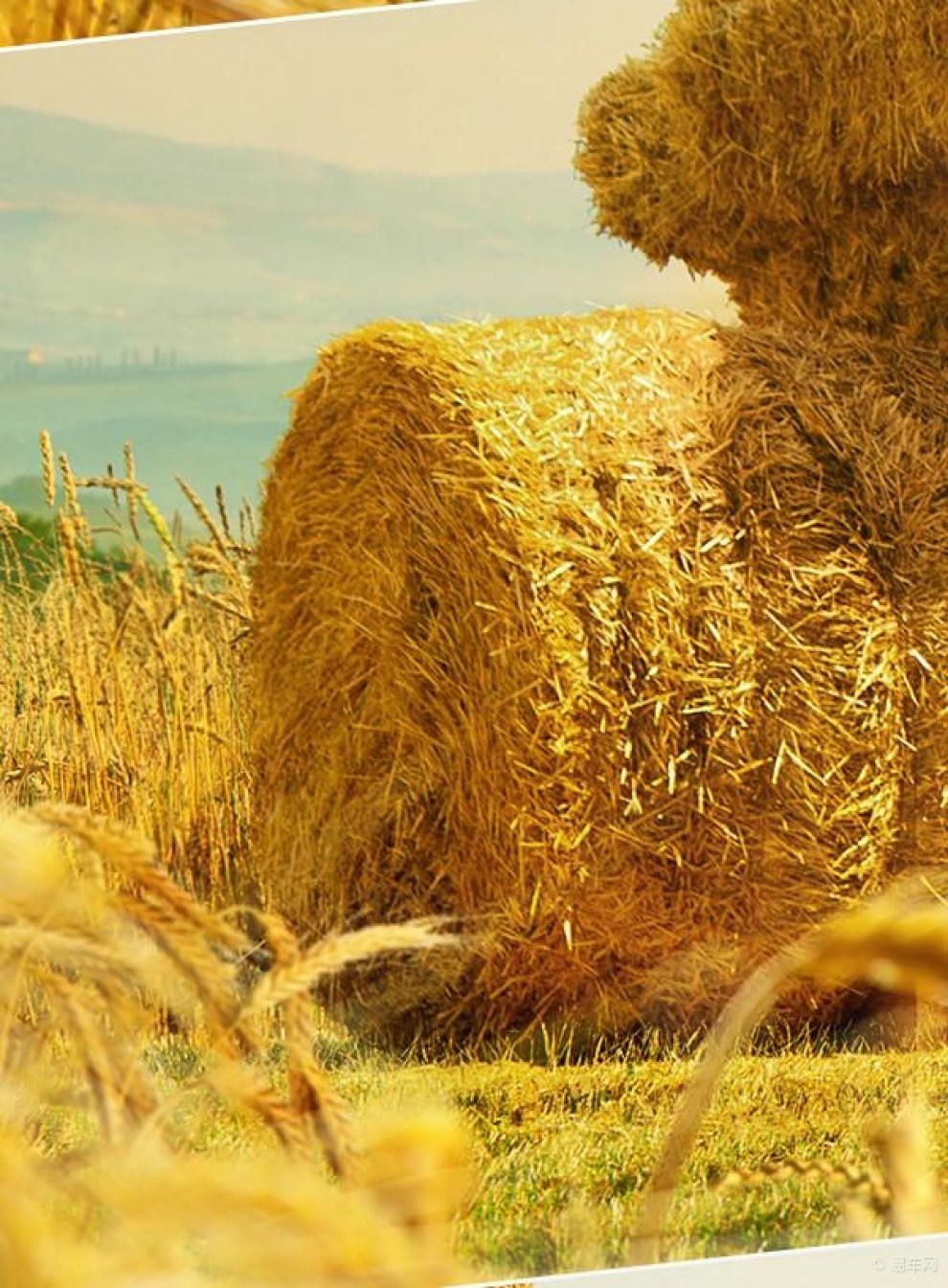 麦秆儿拖拉机