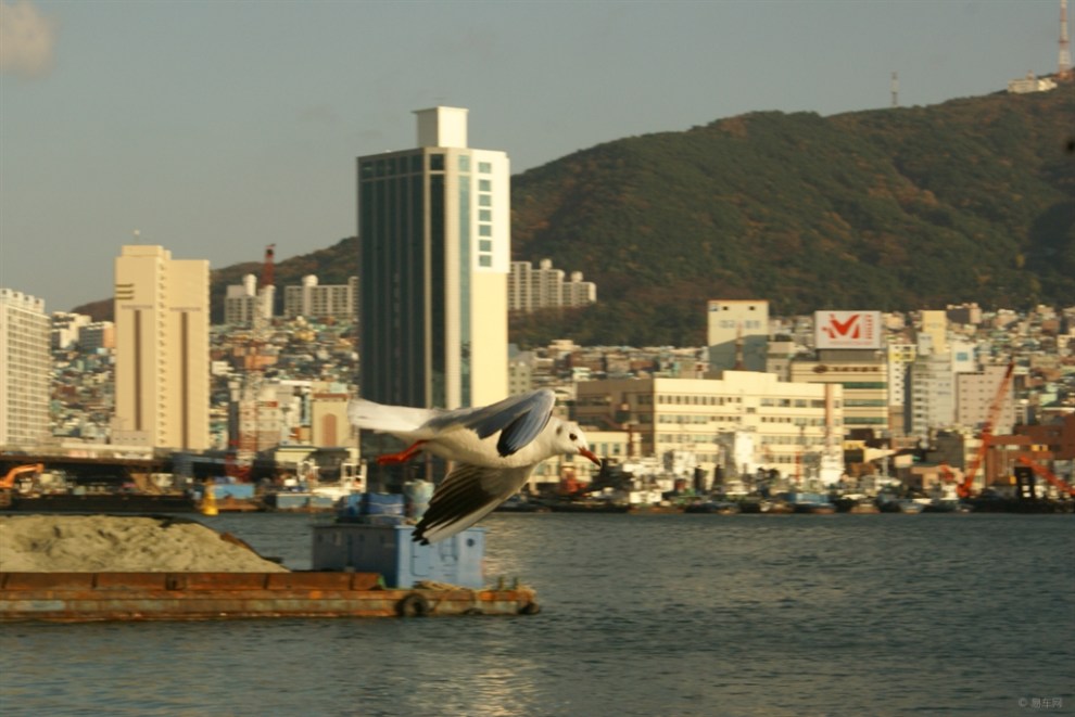 【寻路传奇no.16】公差韩国金海市 , 感受最一般的韩国.