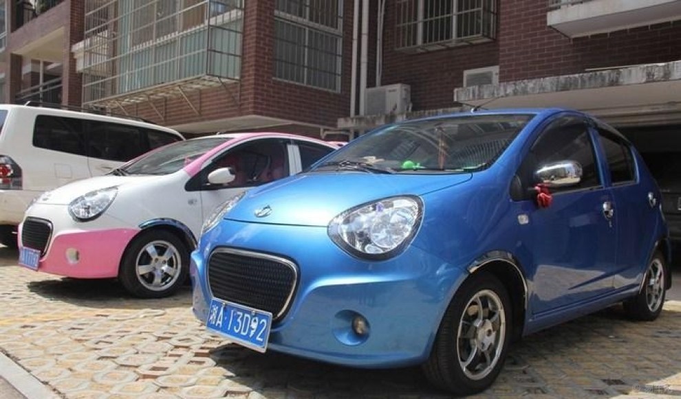 蓝猫被各种折腾