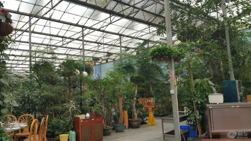 金华阳光绿洲酒店用餐偶记!