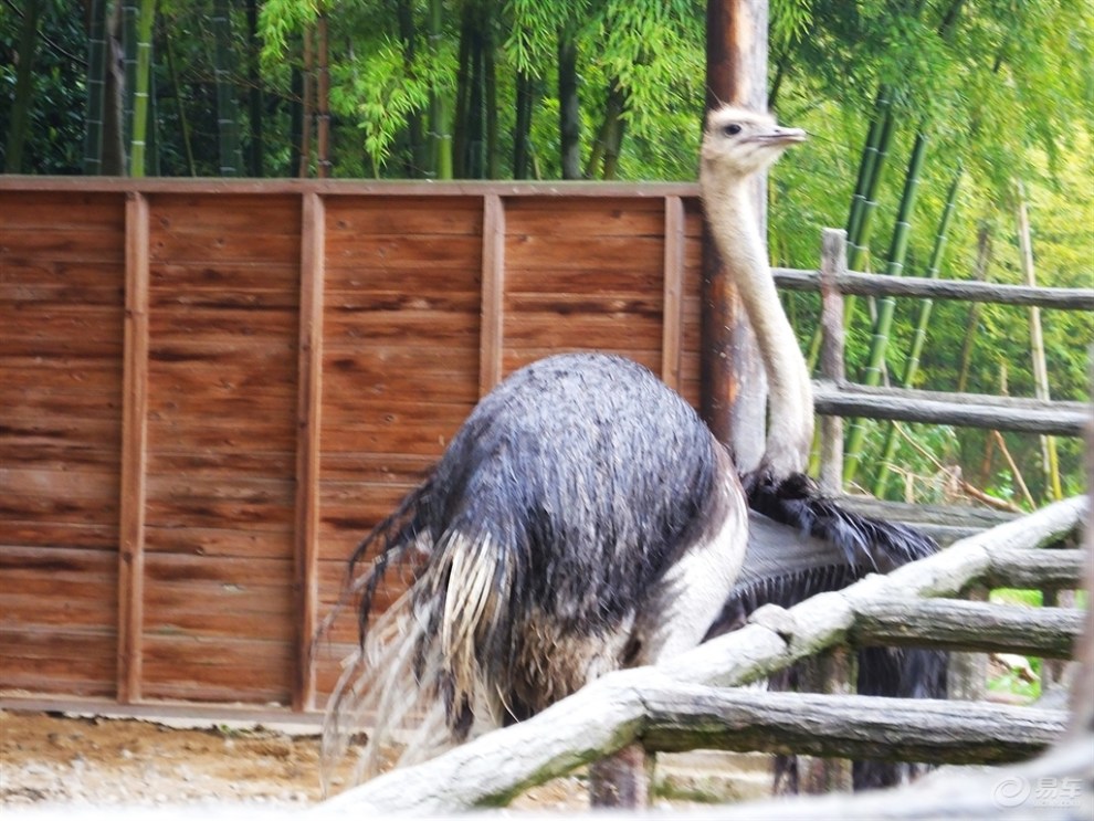 【申牛】蘇州穹窿山萬鳥園