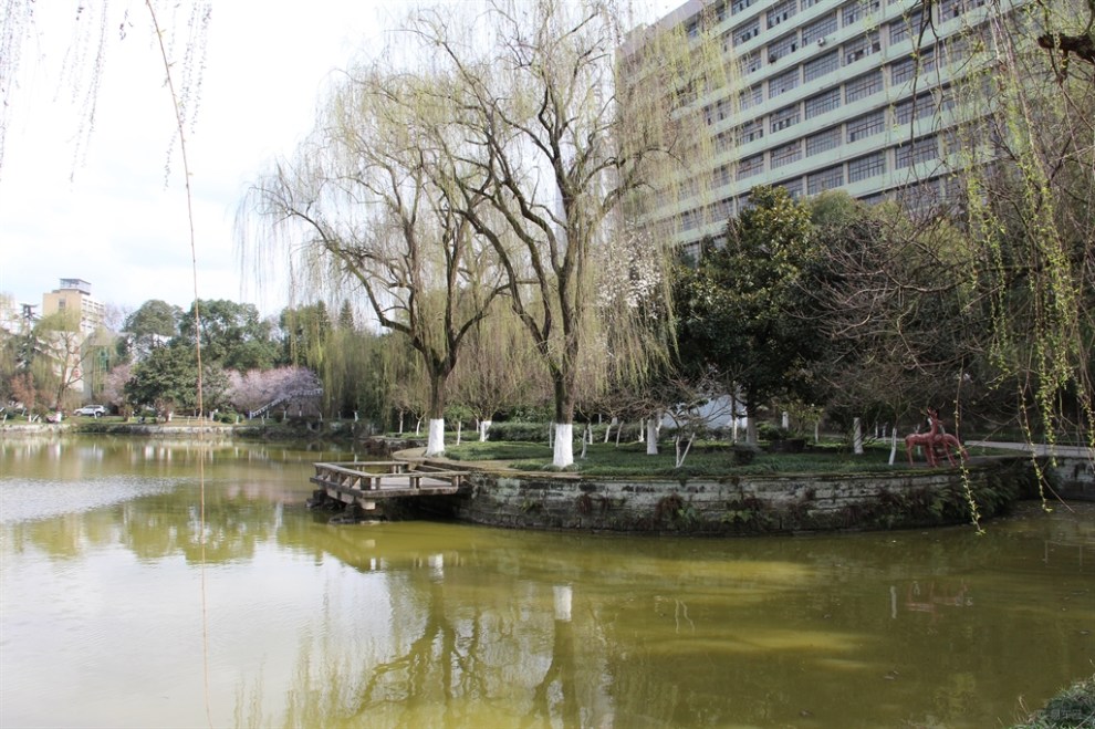 【新春遊】參觀西南石油大學(南充校區)