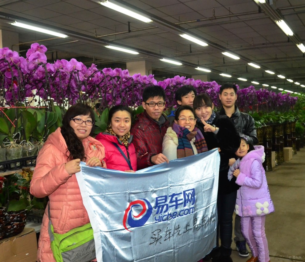 【锦州易车会】辞旧岁迎新春,看新翠赏芬芳——逸轩易车活动报道