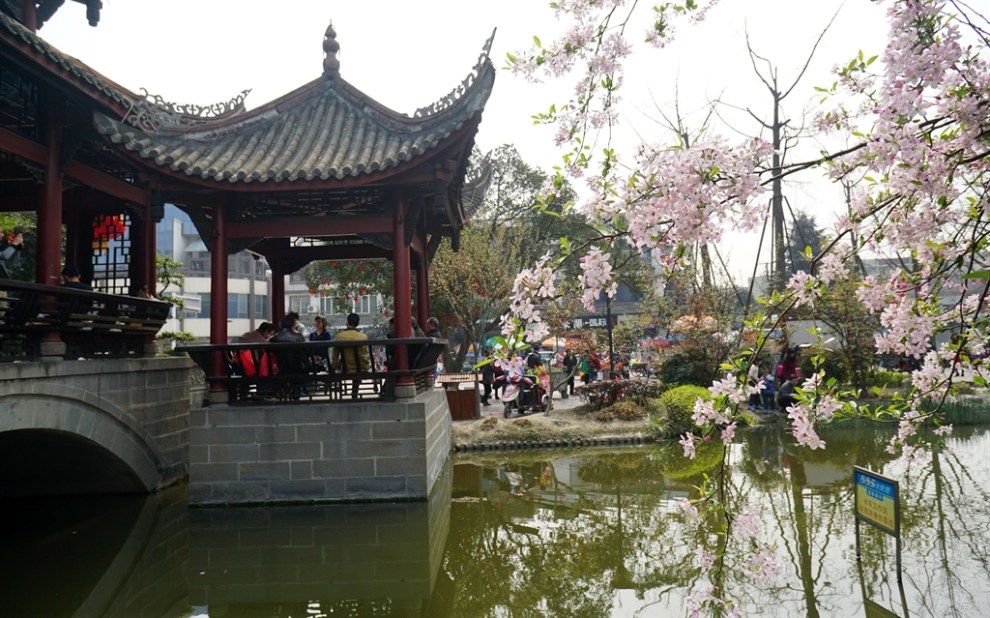 【巍巍雪山】小遊雙流棠湖公園