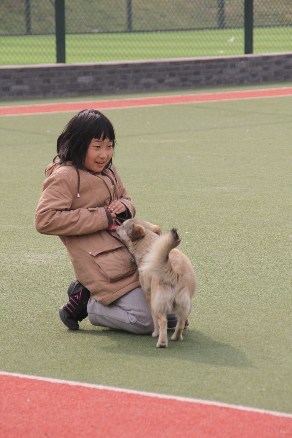 【治愈系萌宠】孩子跟狗狗