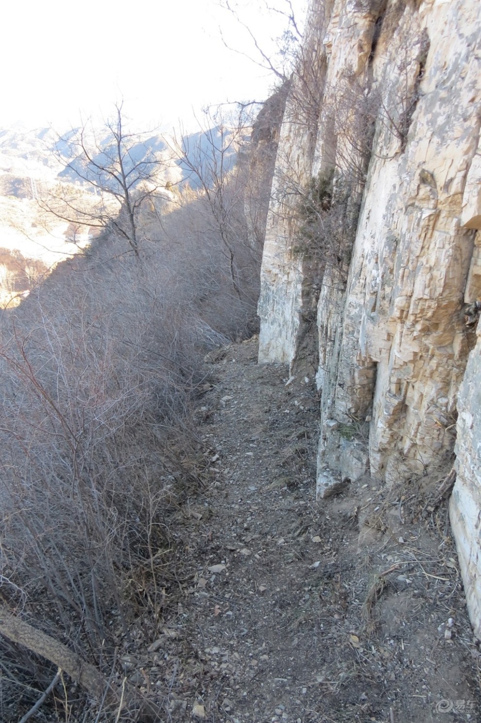 我的《爬长城喽》的帖子哪?