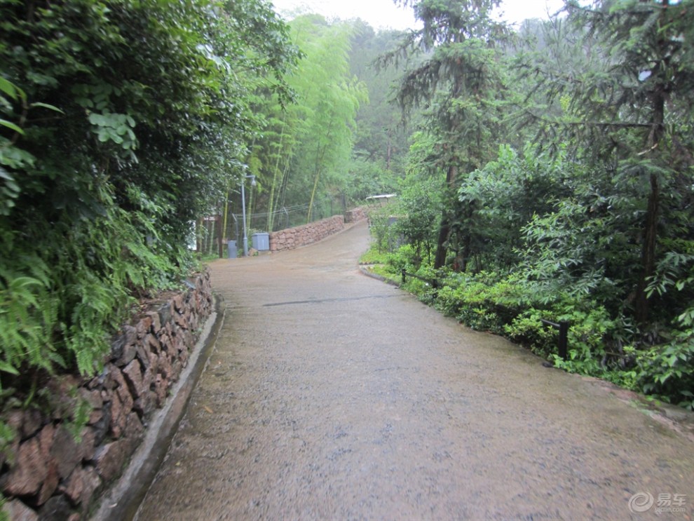 裸心谷之路边风景!