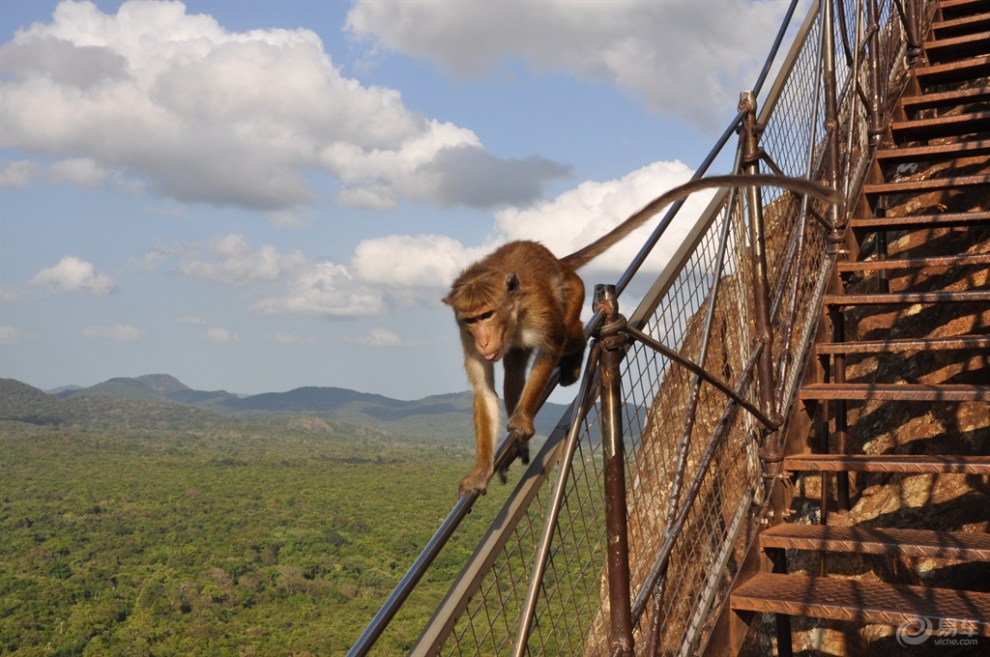 斯里兰卡的狮子岩