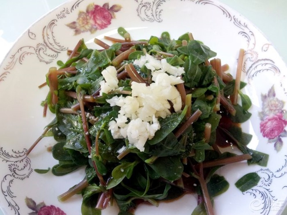 【食尚玩家第五季】凉拌马齿苋(妈妈菜)