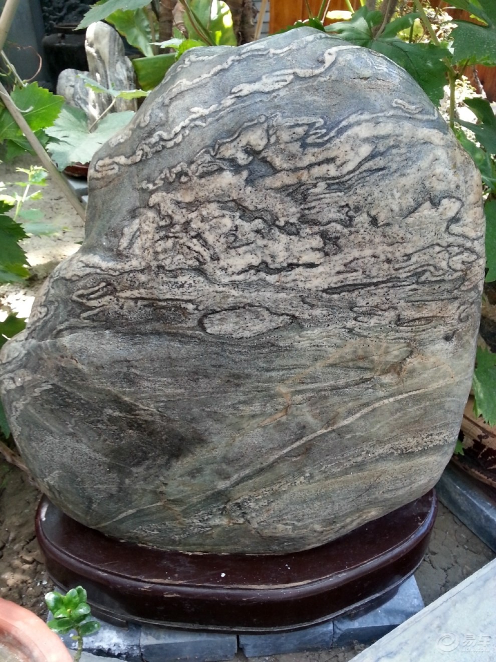 青海黄河石头种类图片图片