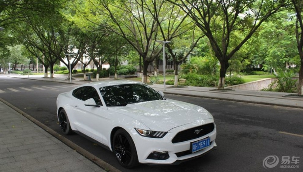 3 mustang 白色性能版提车】_野马f12论坛图片集锦_汽车论坛-易车网