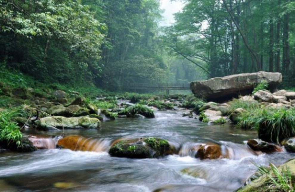 嘻唰唰,开着锐腾游张家界,爱玩的盆友看过来!