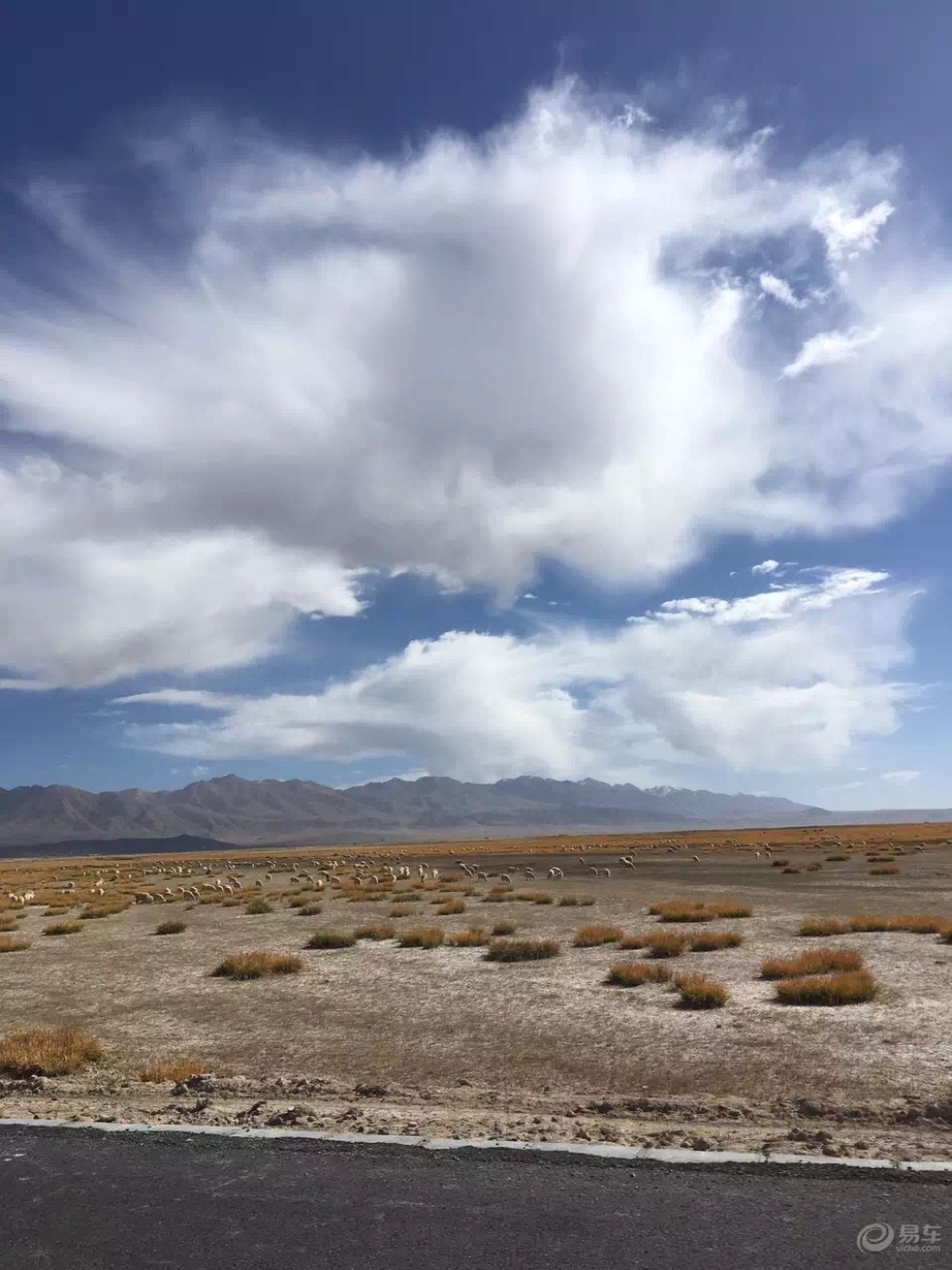 苍茫的天涯是我的爱～记大西北之行